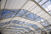Greenhouse shade 74