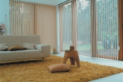 Vertical Blinds 307