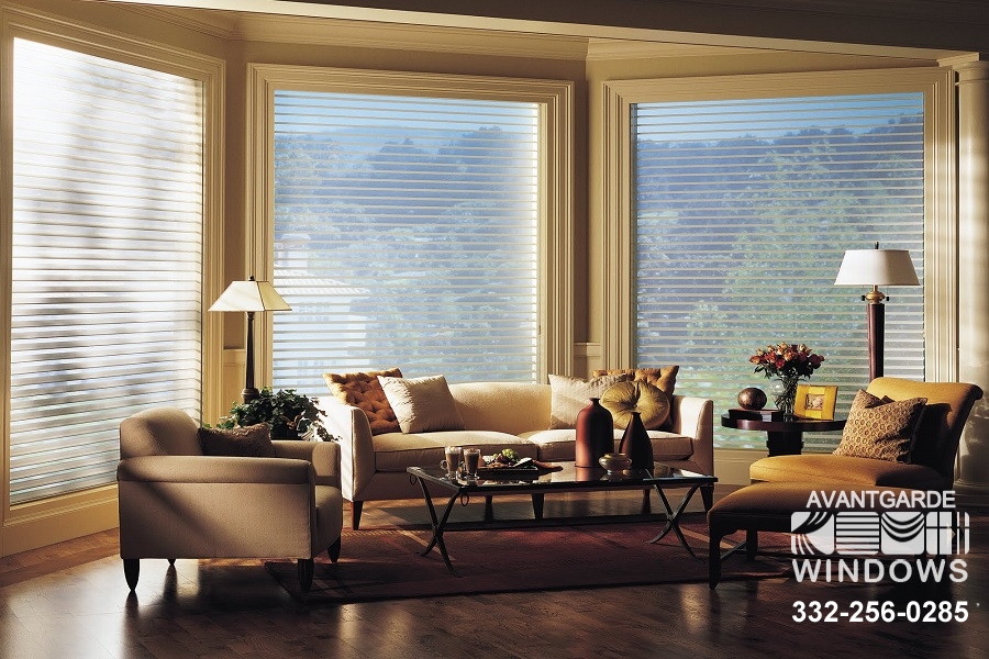 Silhouette by Hunter Douglas